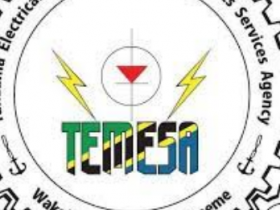 Tanzania Electrical,Mechanical and Electronics Services Agency (TEMESA)