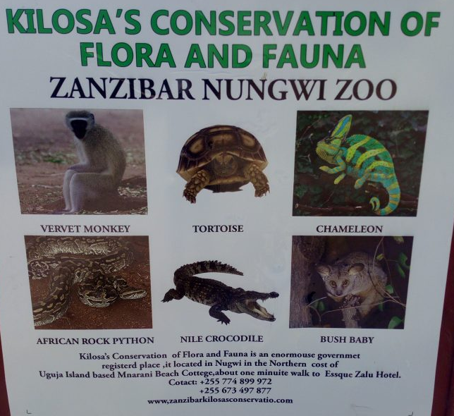 zanzibar kilosas conservation