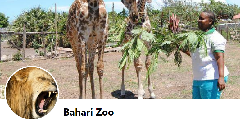 Bahari zoo