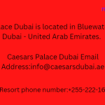 Caesars Palace Dubai Address, Contacts phone number and Email