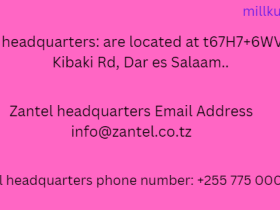 Zantel Headquarters Address