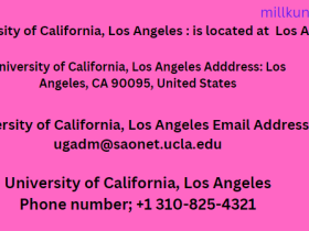 University of California, Los Angeles Location