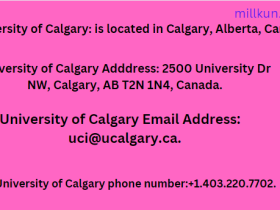 Università di Calgary Modalità/metodi di contatto