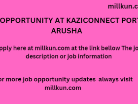 job opportunity at KaziConnect Portal