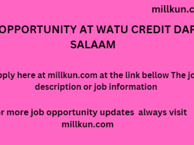 job opportunity at Watu Credit Dar es Salaam