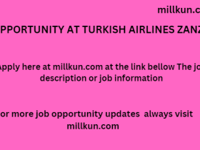 job opportunity at Turkish Airlines