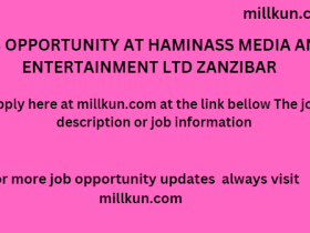 job opportunity at HamiNass Media and Entertainment LTD