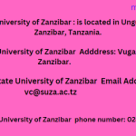 Tumaini University Makumira Contact ways/methods
