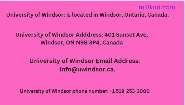 University of Windsor Contact ways/methods