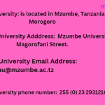 Mzumbe University Contact ways/methods
