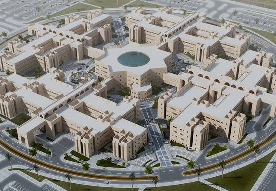 Qassim University