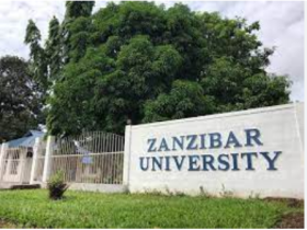 Courses Offered At Zanzibar University