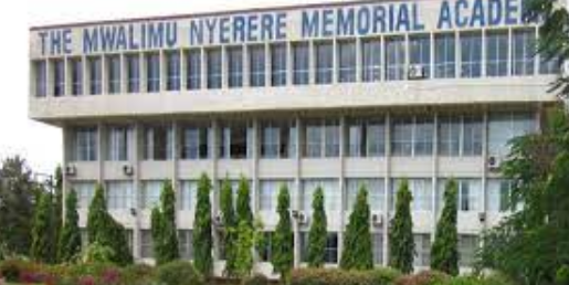 Courses Offered At Mwalimu Nyerere Memorial Academy