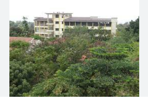 Courses Offered At Mwenge University College of Education