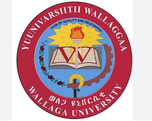 Wallaga University