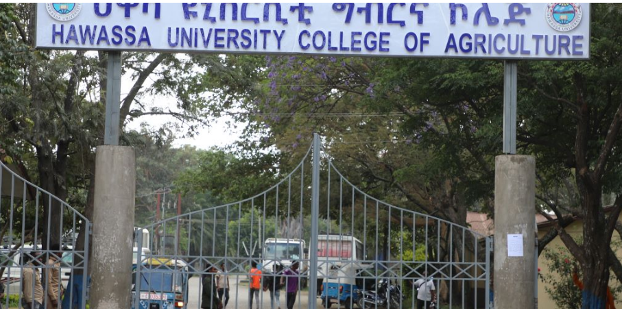 Awassa College of Agriculture