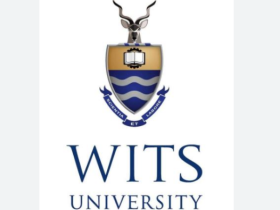 Wits University fee structure