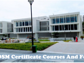 Udsm certificate courses and fees
