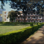 Mzumbe university courses and fees