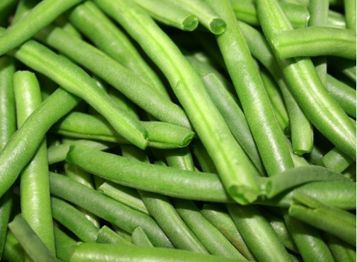 Cuisson des haricots verts frais