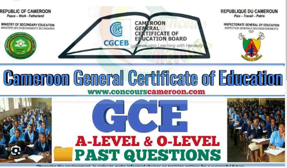 GCE O Level Past Questions