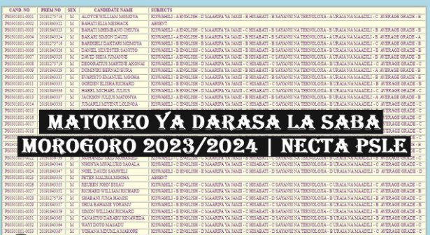 Necta Standard Seven Results 2023: