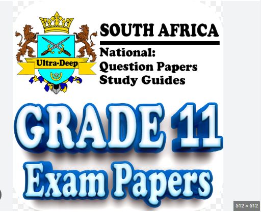 Grade 11 Sepedi Paper 1 PDF Download