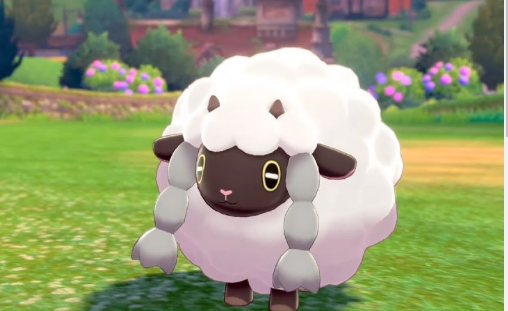 Sheep Pokemon