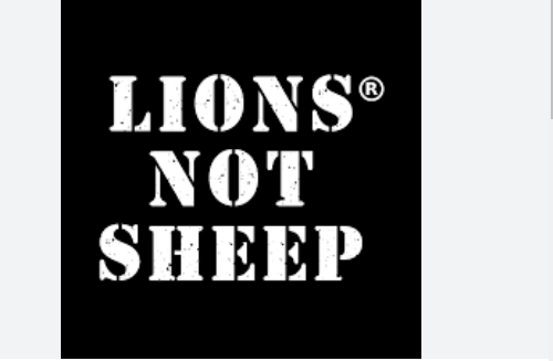 Lions Not Sheep