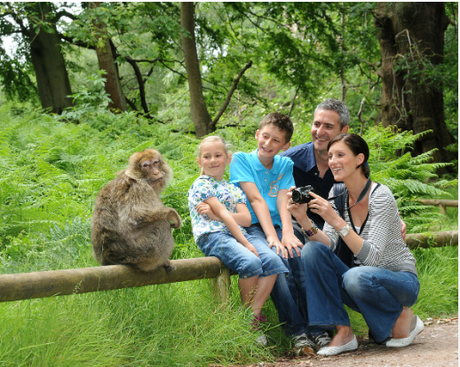 Monkey Parc parc de loisirs pour enfants proche de Toulouse