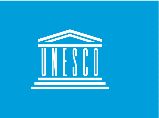 Project Assistant at UNESCO